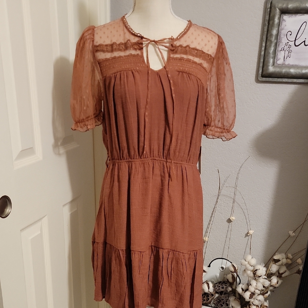 Sweet Wanderer Rust Mini Dress with Sheer Puff Sleeves